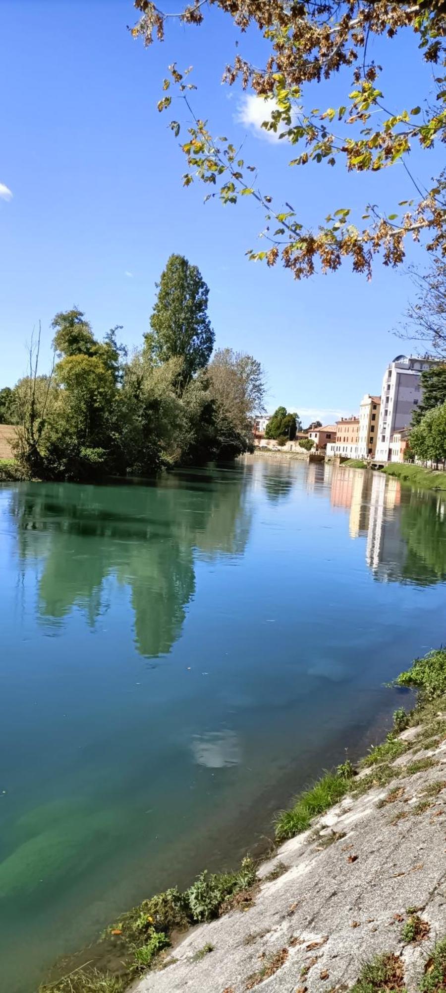 Amalteo 3 Apartment Treviso Exterior photo